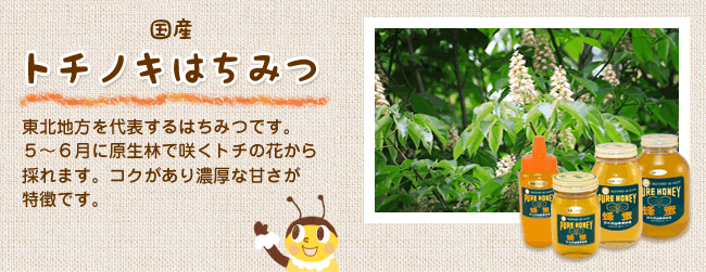 トチノキはちみつ
