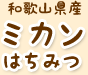 和歌山産ミカンはちみつ