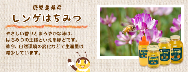 レンゲはちみつ