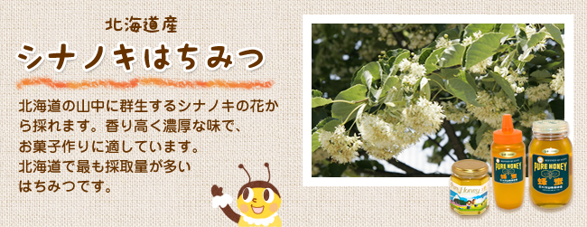 シナノキはちみつ