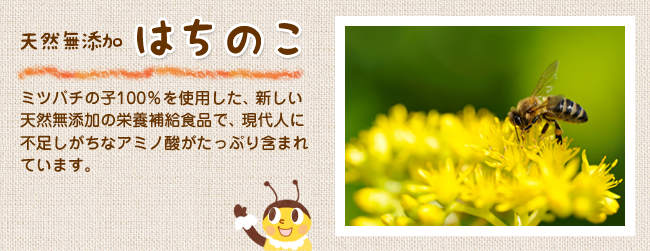はちのこ