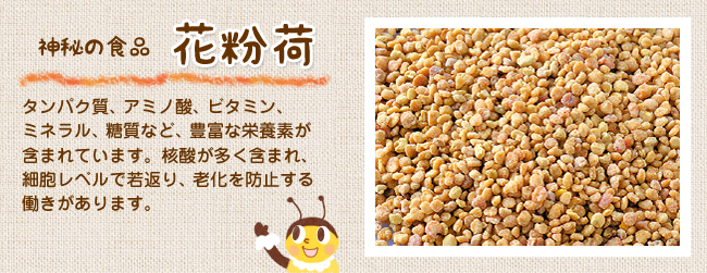 花粉荷