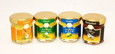 20110303.jpg