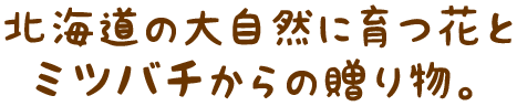 北海道の大自然に育つ花とミツバチからの贈り物。