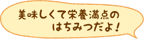 美味しくて栄養満点のはちみつだよ！